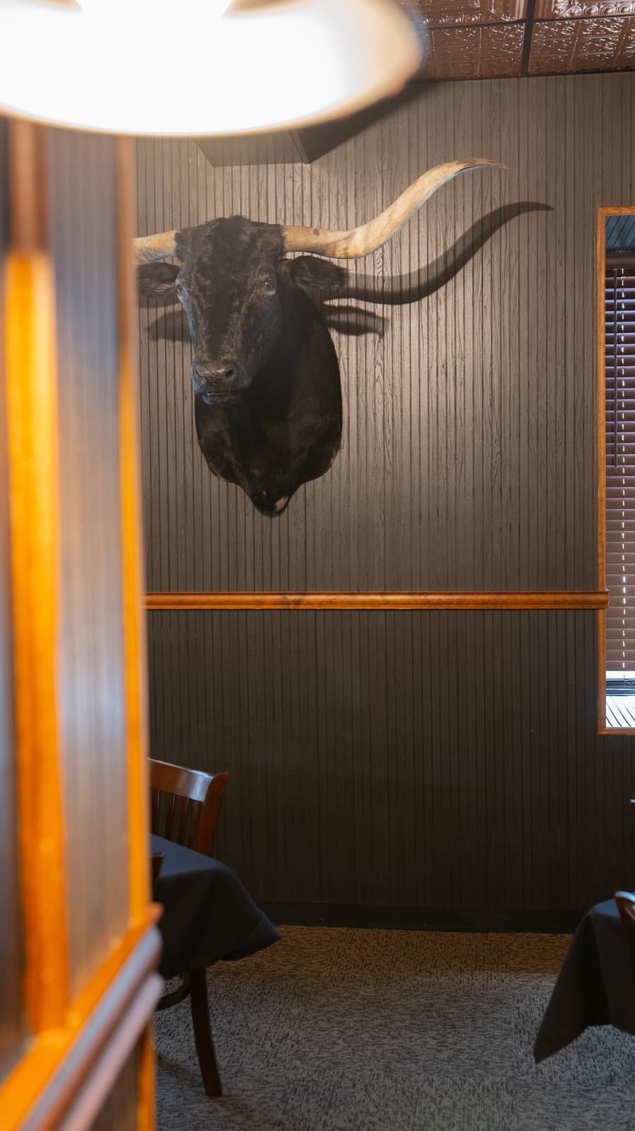 Mounted longhorn on the wood-paneled dining room wall